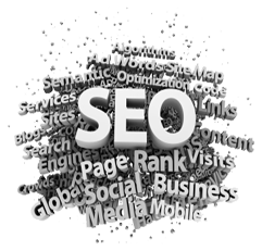 SEO Info